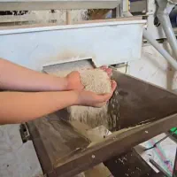 برنج هاشمی فوق اعلا+عمده+ارسال رایگان+ قی کف بازار