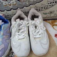 کتانی|کیف، کفش، کمربند|قم, ولیعصر|دیوار