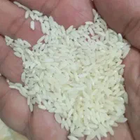 برنج عنبر بو شوشتر|خوردنی و آشامیدنی|اصفهان, بهارستان|دیوار