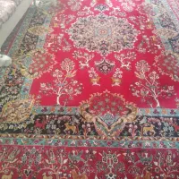 فرش گنجینه|فرش|محمدیه-قزوین, |دیوار