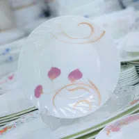 ظروف آرکوپال فرانسه اصلی کارتن دار نو مناسب جهیزیه