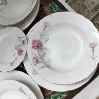 سرویس کمیاب و زیبای گل میخک|ظروف سرو و پذیرایی|ری, حمزه‌آباد|دیوار