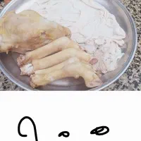 کله پاچه بره و میش