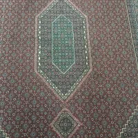 قالی|فرش|سروآباد, |دیوار