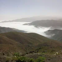 4فرزند زیر ۲۰سال