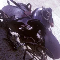 فروش زین چرم اصل دهنه آبخوری وافسار اسب