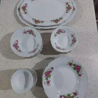 سرویس غذاخوری گل قرمزی