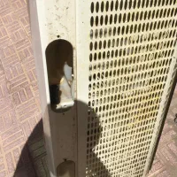 هود اشپزخانه