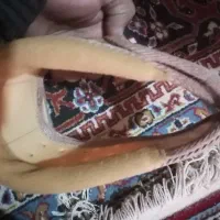 گردنبد طبی سخت کیف پولی کفش میخی فوتبال|کیف، کفش، کمربند|آباده, |دیوار