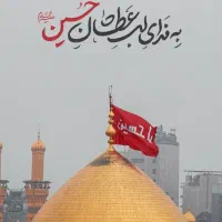 تورکربلا یکسر هوایی|تور و چارتر|قم, آذر (نکویی)|دیوار