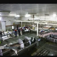 چند نفر کارگر نیازمندیم