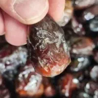 کشمس چرخ شده.خرما بدون هسته.خمیرخرما.ضایعات خرما .