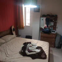 ۵۵متر/۱خوابه/معلم/با آسانسور و انباری|اجارهٔ آپارتمان|تهران, حشمتیه|دیوار