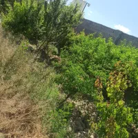 باغچه