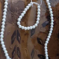 بدلیجات
