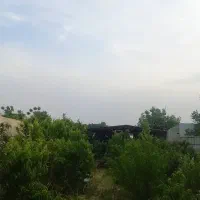 فروش-باغچه-کهنز-قوام