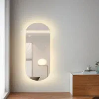 آینه بک لایت