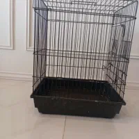 قفس طوطی|لوازم جانبی حیوانات|کرج, فاز ۳ گوهردشت|دیوار