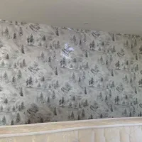 نصب و فروش کاغذ دیواری خارجی قابل شستوشو|خدمات پیشه و مهارت|سنندج, |دیوار