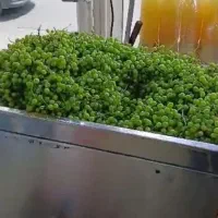 دستگاه آبلیموگیرآب غوره گیرآبغوره گیرپرسی آب لیمو|ماشین‌آلات صنعتی|تهران, یافت آباد جنوبی|دیوار