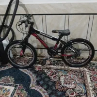 دوچرخه دنده ای۲۰