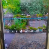 اجاره روزانه/هفتگی/ماهانه آپارتمان ۲۰۰ متری|اجارهٔ کوتاه‌مدت آپارتمان و سوئیت|آستارا, |دیوار