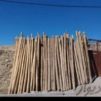فروش و خرید انواع چوب