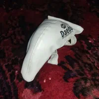 لوازم باشگاه|تجهیزات ورزشی|کبودرآهنگ, |دیوار