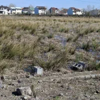 فروش زمین سند دار لاکان شهرکی|فروش زمین و ملک کلنگی|رشت, لاکان شهر|دیوار