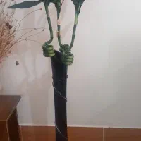 گلدان شیشەای سکوریت