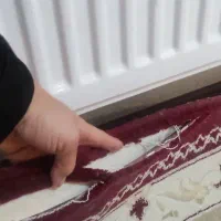 یک جفت فرش ۱۲متری کرم زرشکی شاد|فرش|صدرا-فارس, فاز ۱|دیوار