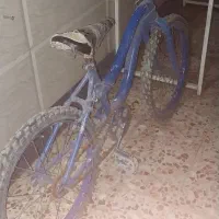 دوچرخه|دوچرخه، اسکیت، اسکوتر|ایذه, |دیوار