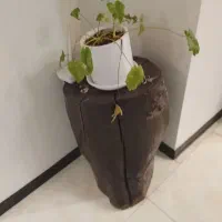 تنه درخت چوبی|صنایع دستی و سایر لوازم تزئینی|کرج, فاز ۴ مهرشهر|دیوار