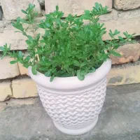 فروش منزل مسکونی