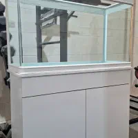 آکواریوم|ماهی|مشهد, نوده|دیوار