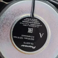 باند پایونیر