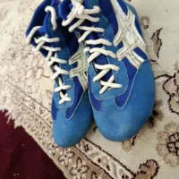 کفش کشتی