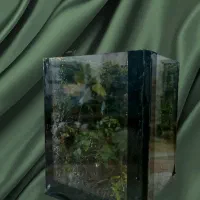 تراریوم هدیه ای خاص|گل و گیاه طبیعی|شاهرود, |دیوار