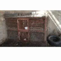 قفس مرغ