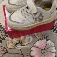 کفش|کیف، کفش، کمربند|بوشهر, |دیوار