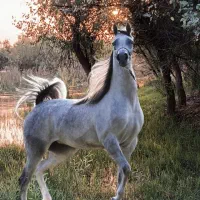 پول برای همکاری