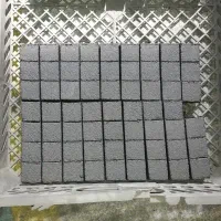 ذغال نارگیل و شیش ظلعی