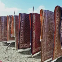 قالیشویی یاقوت|خدمات نظافت|کرمان, |دیوار