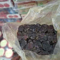کبکاب درجه یک