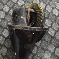 کله گاوی و گاردن