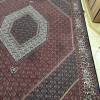 قالی|فرش|قشم, |دیوار