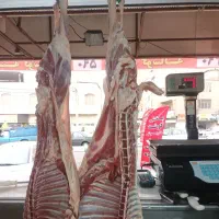 لاشه کامل گوسفندی زیر قیمت