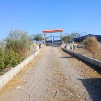 فروش زمین ۲۰۰۰ متری کورانه