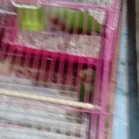 ۵تا|پرنده|خرمشهر, |دیوار