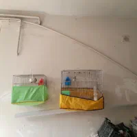 ۶تافنچ با دوتا قفس